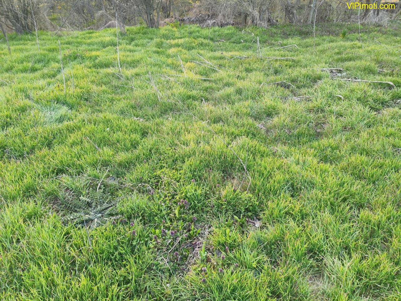 АТРАКТИВЕН ПАРЦЕЛ в село Яздач - за Жилищно строителство, Каравана или ФЕЦ - ИЗГОДНО