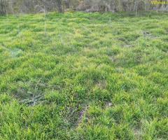 АТРАКТИВЕН ПАРЦЕЛ в село Яздач - за Жилищно строителство, Каравана или ФЕЦ - ИЗГОДНО