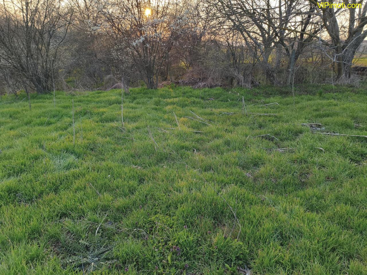 АТРАКТИВЕН ПАРЦЕЛ в село Яздач - за Жилищно строителство, Каравана или ФЕЦ - ИЗГОДНО