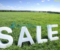 Голям парцел в регулация с. Момково, община Свиленград